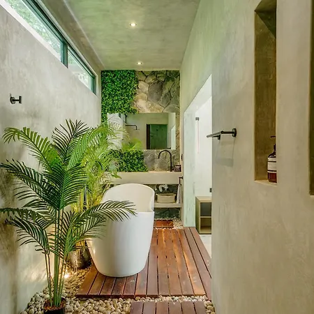 Casa Tira - Your Luxury Jungle Mansion In *