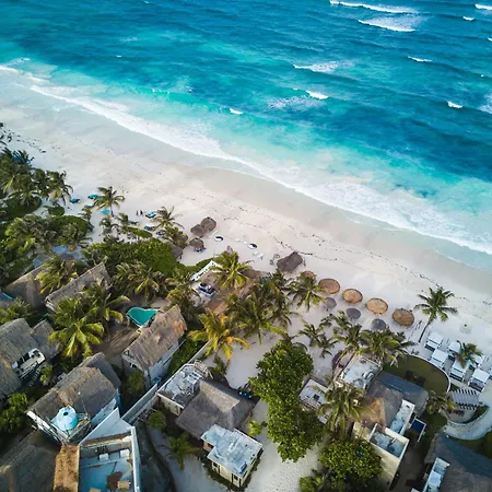 Casa Tira - Your Luxury Jungle Mansion In Villa Tulum
