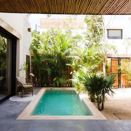 Nevana Luxury By La Zebra Tulum