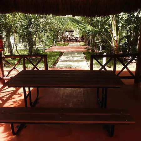 New! Jungle Chic Retreat In Aldea