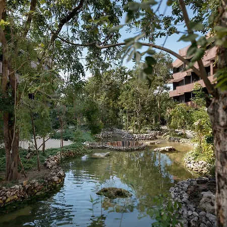 Luz De Selva C113 Apartment