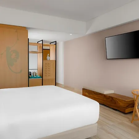 Resort Hilton Riviera Maya 5*
