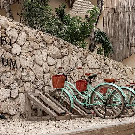 Taio 5* Tulum