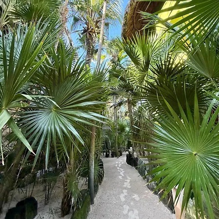 Suenos Hotel Tulum