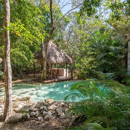 Apartamento Private Jungle With Full Kitchen & Pool Access Tulum