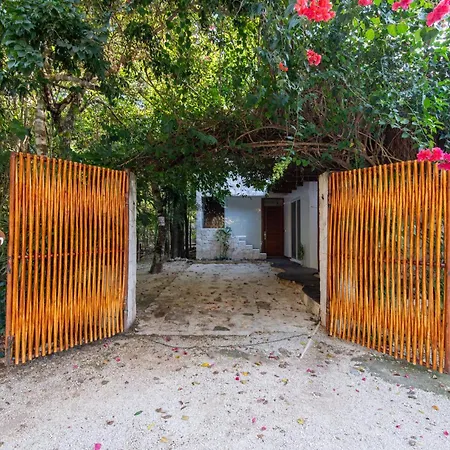 Private Jungle With Full Kitchen & Pool Access