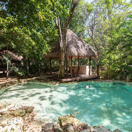 Private Jungle With Full Kitchen & Pool Access Apartamento *