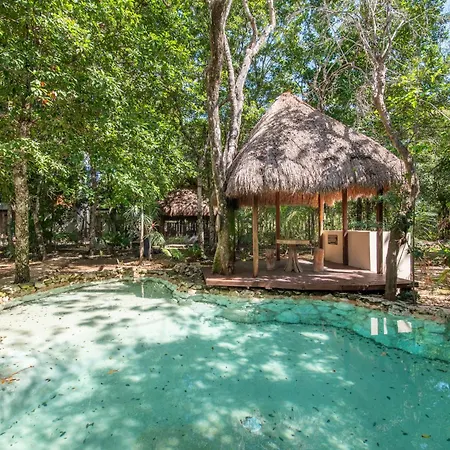 Apartamento Private Jungle With Full Kitchen & Pool Access *