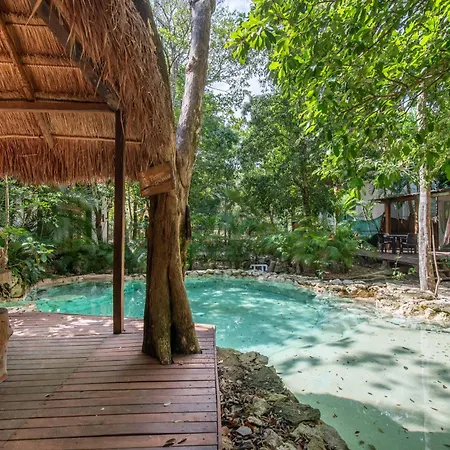 Private Jungle With Full Kitchen & Pool Access * Tulum