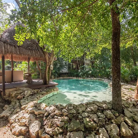 Private Jungle With Full Kitchen & Pool Access *