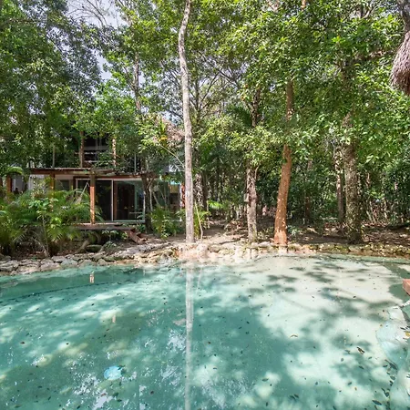 Private Jungle With Full Kitchen & Pool Access Apartamento *