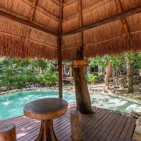 Private Jungle With Full Kitchen & Pool Access Tulum