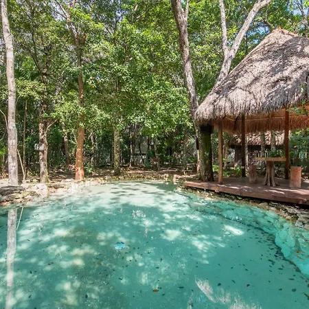 Private Jungle With Full Kitchen & Pool Access Apartamento *