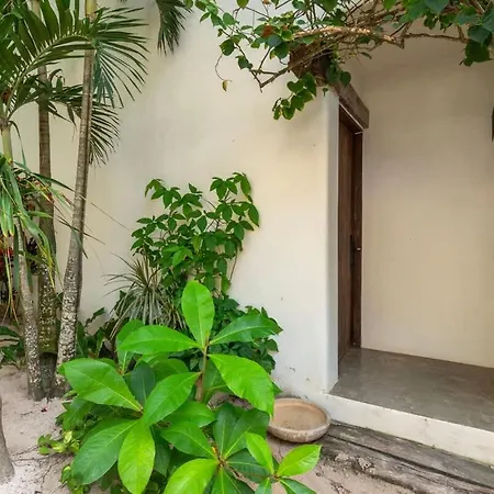 Villa Chiringuito