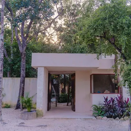 Private 6br Jungle Compound With Rooftop Pool Holiday home *