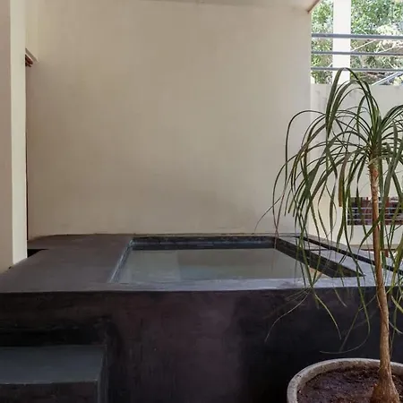 Private 6br Jungle Compound With Rooftop Pool Holiday home Tulum