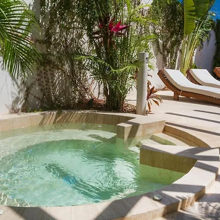 Apartment 2 Bdm Each With A Private Pool, At Elements