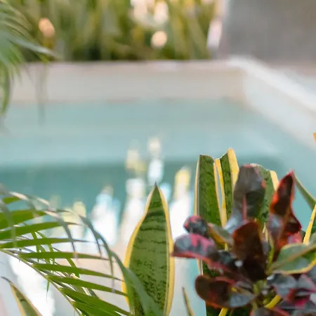Apartamento 107 Private Pool & King Bed Seremonia