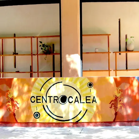 Calea Boutique