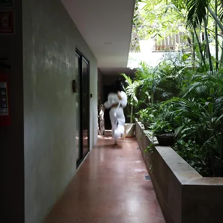 Hotel Calea Boutique Tulum