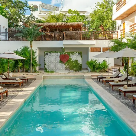 Collection O Kaab Boutique Tulum Centro, Pool And Parking