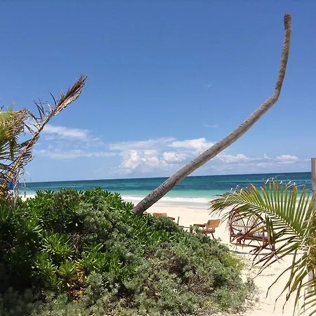 Lodge El Caracol Tulum
