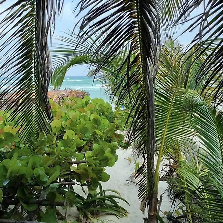 El Caracol Lodge Tulum