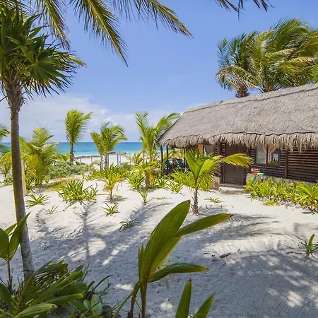 Mestizo Boutique Hotel 4*