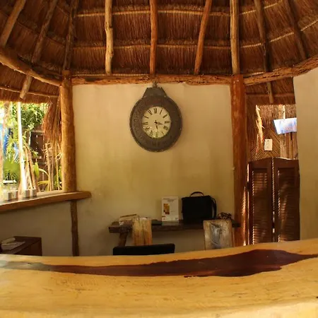 Maya Y Cenote Tulum