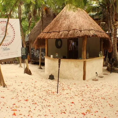 Hotel Maya Y Cenote