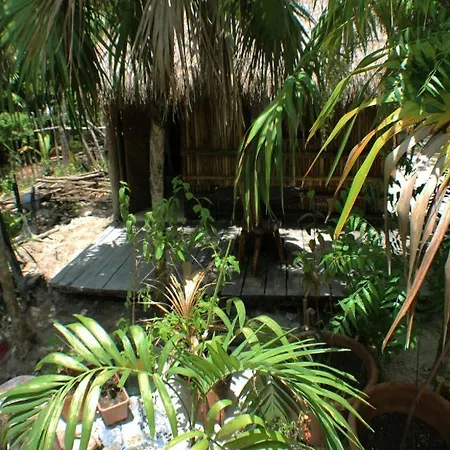 Maya Y Cenote Hotel Tulum