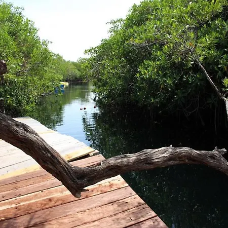 Hotel Maya Y Cenote 2*