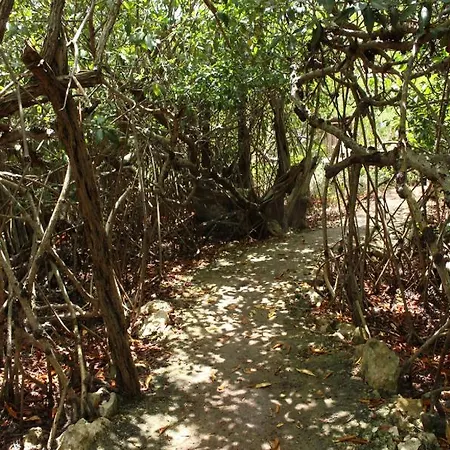 Maya Y Cenote 2* Tulum