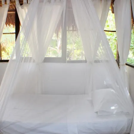 Hotel Maya Y Cenote