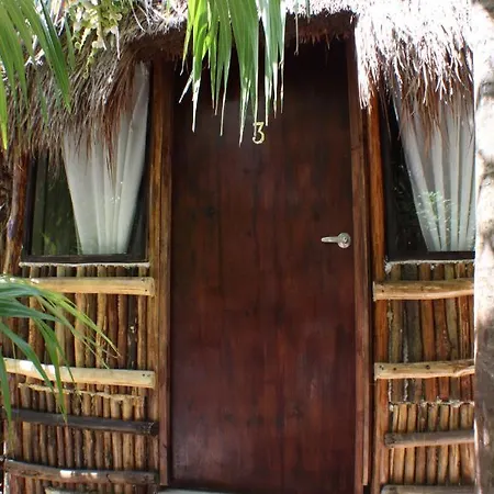 Maya Y Cenote Tulum