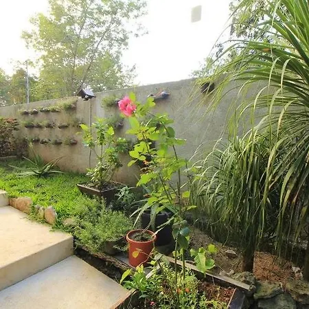 El Vivero