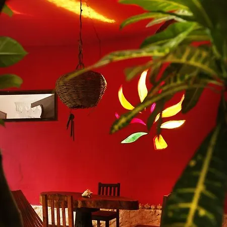 Frida House * Tulum
