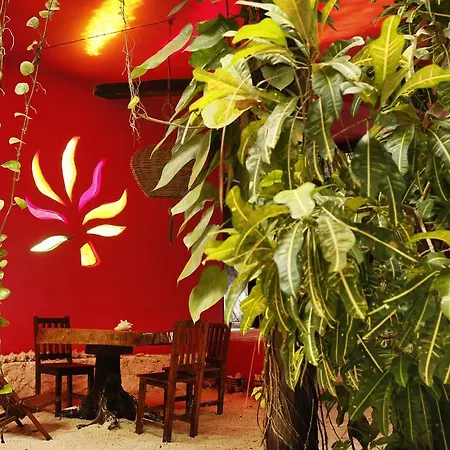 Frida House *