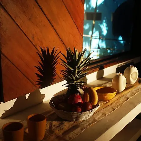 Frida House Holiday home