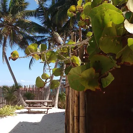 Holiday home Cabanas Selva