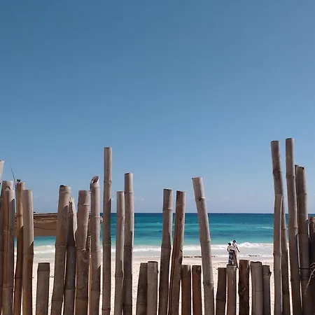 Holiday home Cabanas Selva