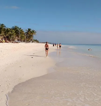 Cabanas Selva
