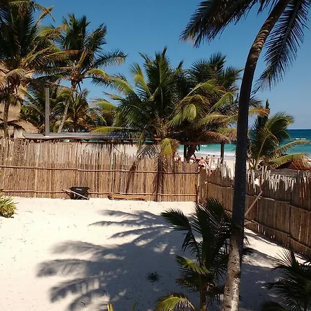 Cabanas Selva *