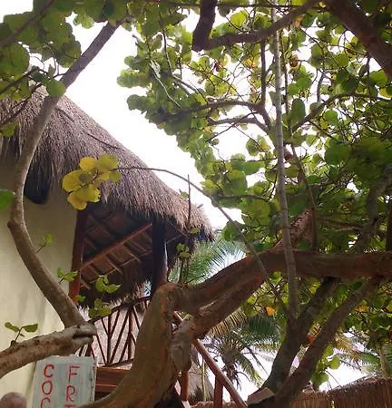 Cabanas Selva *