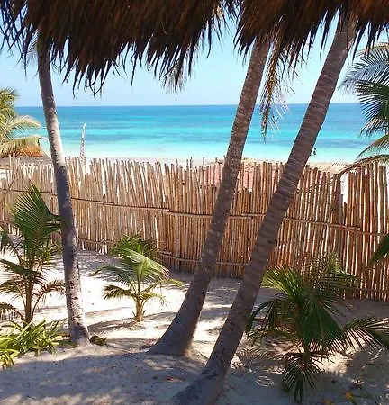Cabanas Selva
