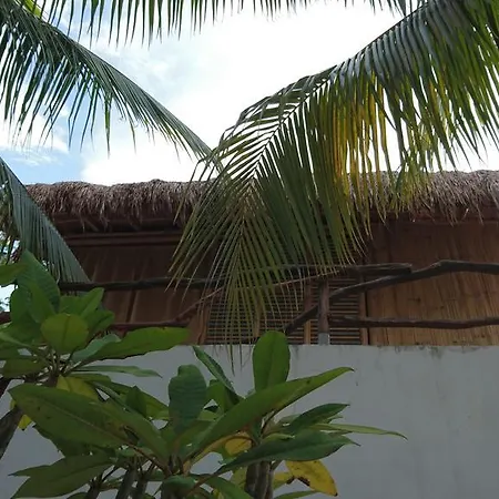 Aqua Viva Hotel 4*