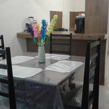Apartment Departamento Magui *