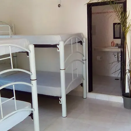 Casa Geckos Hostel Tulum