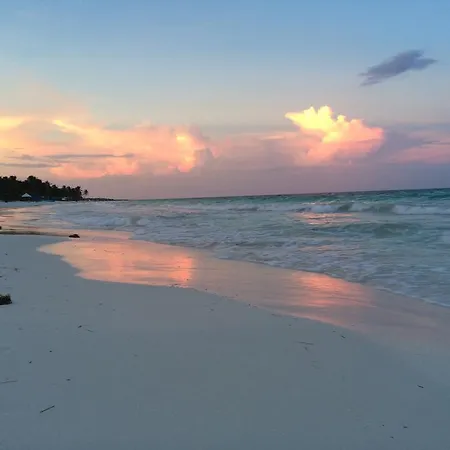 Hostel Casa Geckos Tulum