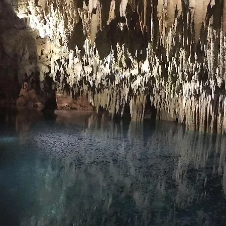 Casa Geckos *